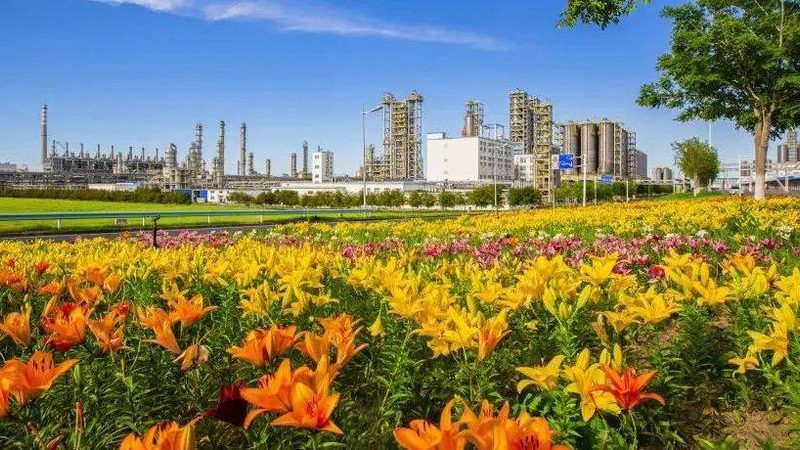 化工原料定制生产：揭秘定制化背后的秘密