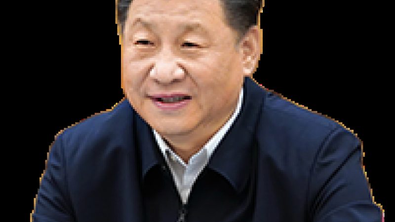 工业添加剂添加步骤详解：从原理到实践